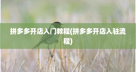 拼多多开店入门教程(拼多多开店入驻流程)