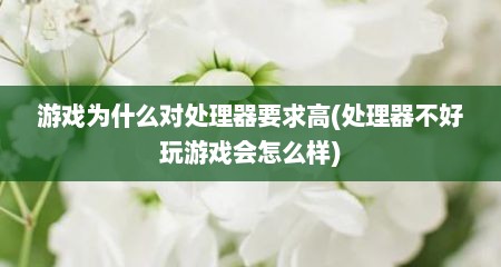 游戏为什么对处理器要求高(处理器不好玩游戏会怎么样)