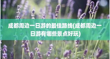成都周边一日游的最佳路线(成都周边一日游有哪些景点好玩)