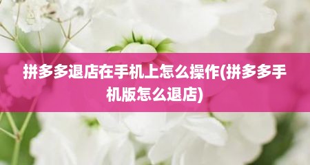 拼多多退店在手机上怎么操作(拼多多手机版怎么退店)