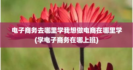电子商务去哪里学我想做电商在哪里学(学电子商务在哪上班)