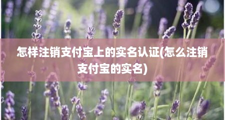 怎样注销支付宝上的实名认证(怎么注销支付宝的实名)