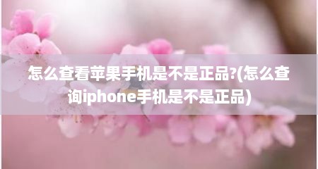 怎么查看苹果手机是不是正品?(怎么查询iphone手机是不是正品)