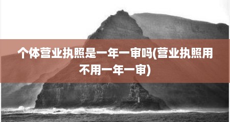 个体营业执照是一年一审吗(营业执照用不用一年一审)