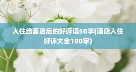 入住给酒店后的好评语50字(酒店入住好评大全100字)