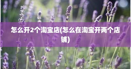 怎么开2个淘宝店(怎么在淘宝开两个店铺)