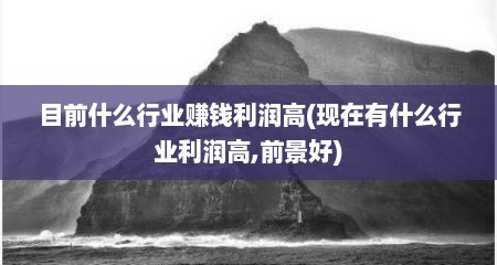 目前什么行业赚钱利润高(现在有什么行业利润高,前景好)