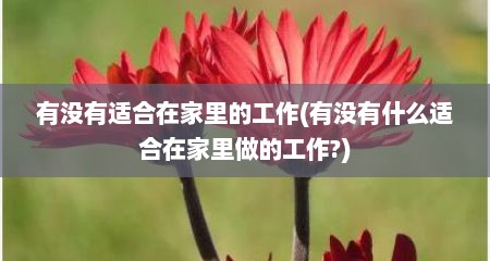有没有适合在家里的工作(有没有什么适合在家里做的工作?)