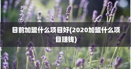 目前加盟什么项目好(2020加盟什么项目赚钱)