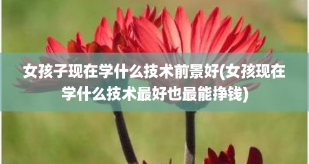女孩子现在学什么技术前景好(女孩现在学什么技术最好也最能挣钱)