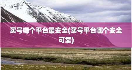 买号哪个平台最安全(买号平台哪个安全可靠)