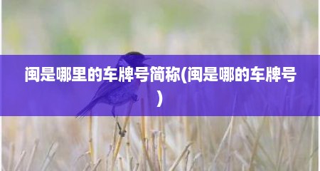 闽是哪里的车牌号简称(闽是哪的车牌号)
