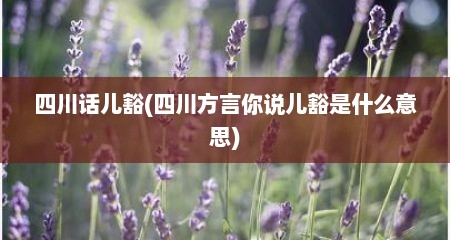四川话儿豁(四川方言你说儿豁是什么意思)