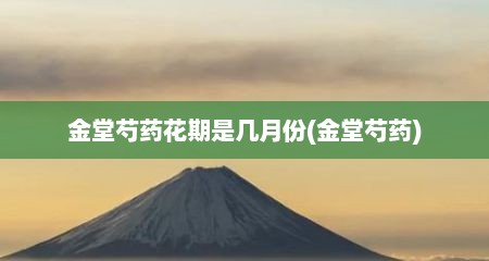 金堂芍药花期是几月份(金堂芍药)