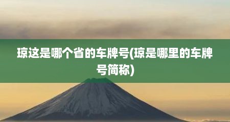 琼这是哪个省的车牌号(琼是哪里的车牌号简称)