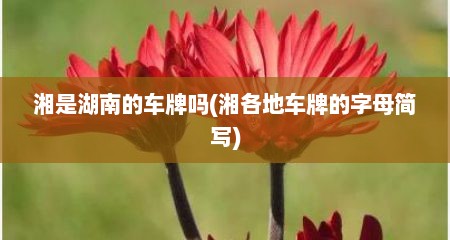 湘是湖南的车牌吗(湘各地车牌的字母简写)
