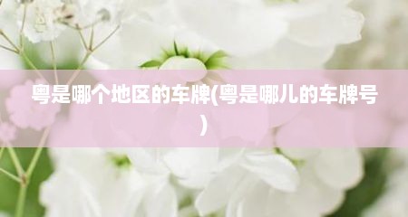 粤是哪个地区的车牌(粤是哪儿的车牌号)
