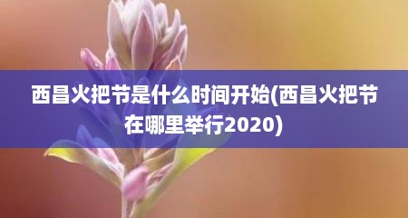 西昌火把节是什么时间开始(西昌火把节在哪里举行2020)
