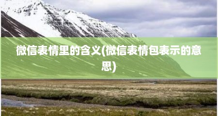 微信表情里的含义(微信表情包表示的意思)