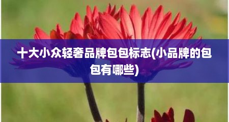 十大小众轻奢品牌包包标志(小品牌的包包有哪些)