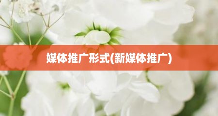 媒体推广形式(新媒体推广)