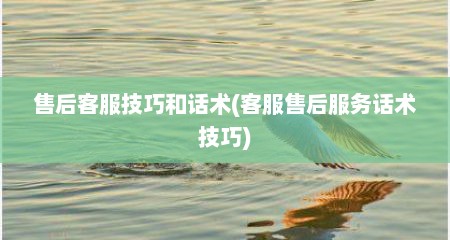 售后客服技巧和话术(客服售后服务话术技巧)