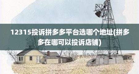 12315投诉拼多多平台选哪个地址(拼多多在哪可以投诉店铺)