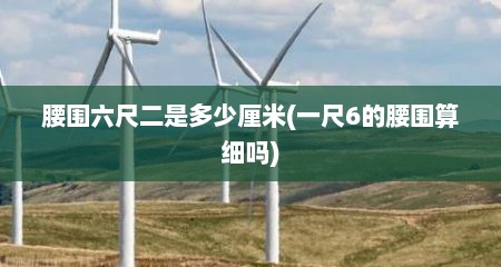 腰围六尺二是多少厘米(一尺6的腰围算细吗)