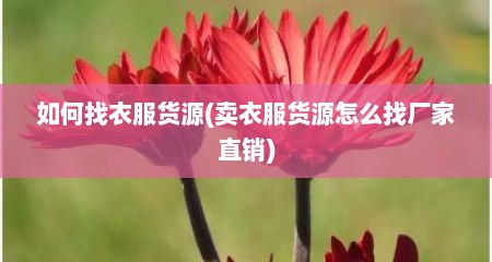 如何找衣服货源(卖衣服货源怎么找厂家直销)