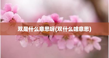 双是什么意思呀(双什么啥意思)