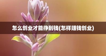 怎么创业才能挣到钱(怎样赚钱创业)