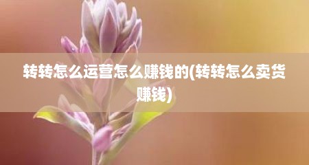转转怎么运营怎么赚钱的(转转怎么卖货赚钱)