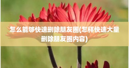 怎么能够快速删除朋友圈(怎样快速大量删除朋友圈内容)