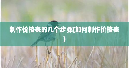 制作价格表的几个步骤(如何制作价格表)