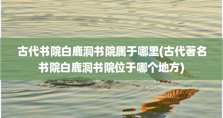 古代书院白鹿洞书院属于哪里(古代著名书院白鹿洞书院位于哪个地方)
