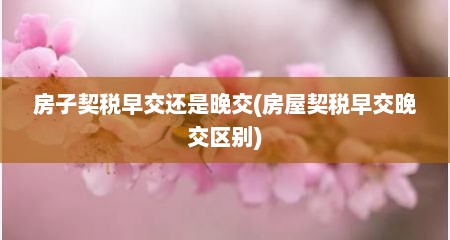 房子契税早交还是晚交(房屋契税早交晚交区别)