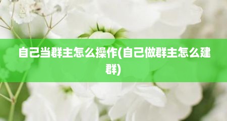 自己当群主怎么操作(自己做群主怎么建群)