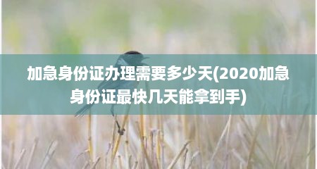 加急身份证办理需要多少天(2020加急身份证最快几天能拿到手)