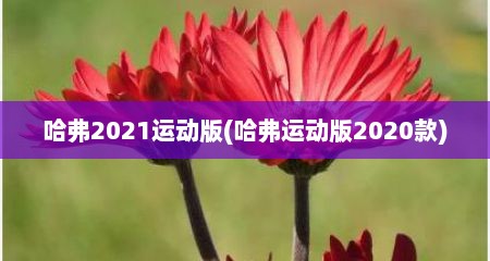哈弗2021运动版(哈弗运动版2020款)