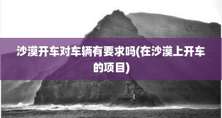 沙漠开车对车辆有要求吗(在沙漠上开车的项目)