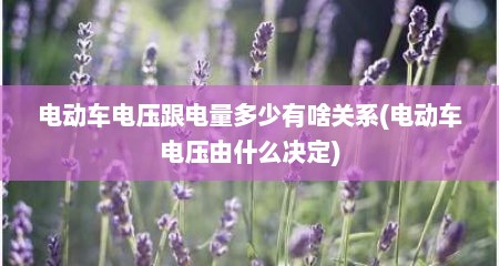 电动车电压跟电量多少有啥关系(电动车电压由什么决定)