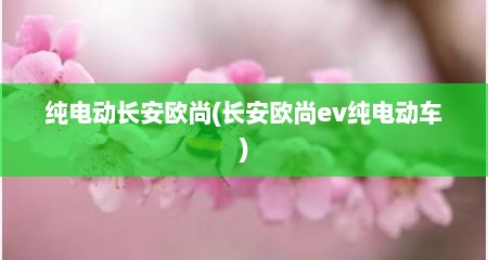 纯电动长安欧尚(长安欧尚ev纯电动车)