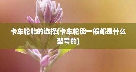 卡车轮胎的选择(卡车轮胎一般都是什么型号的)