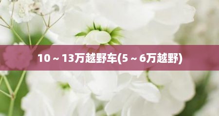 10～13万越野车(5～6万越野)