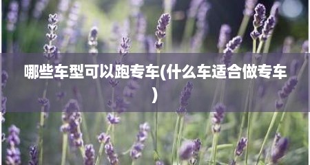 哪些车型可以跑专车(什么车适合做专车)