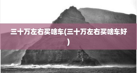 三十万左右买啥车(三十万左右买啥车好)