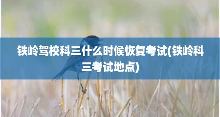 铁岭驾校科三什么时候恢复考试(铁岭科三考试地点)