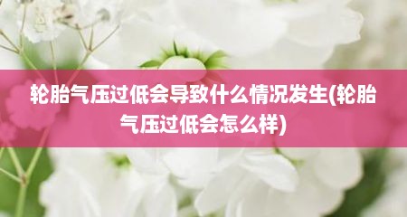 轮胎气压过低会导致什么情况发生(轮胎气压过低会怎么样)