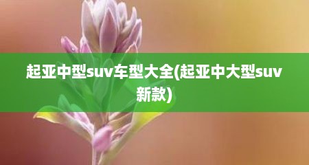 起亚中型suv车型大全(起亚中大型suv新款)
