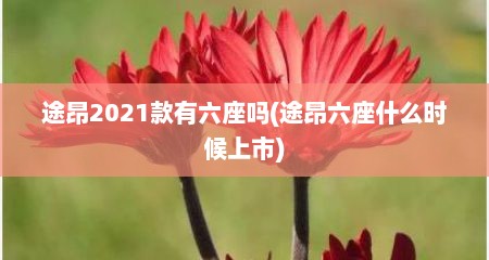 途昂2021款有六座吗(途昂六座什么时候上市)